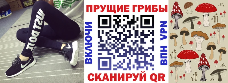 Псилоцибиновые грибы мицелий Рузаевка